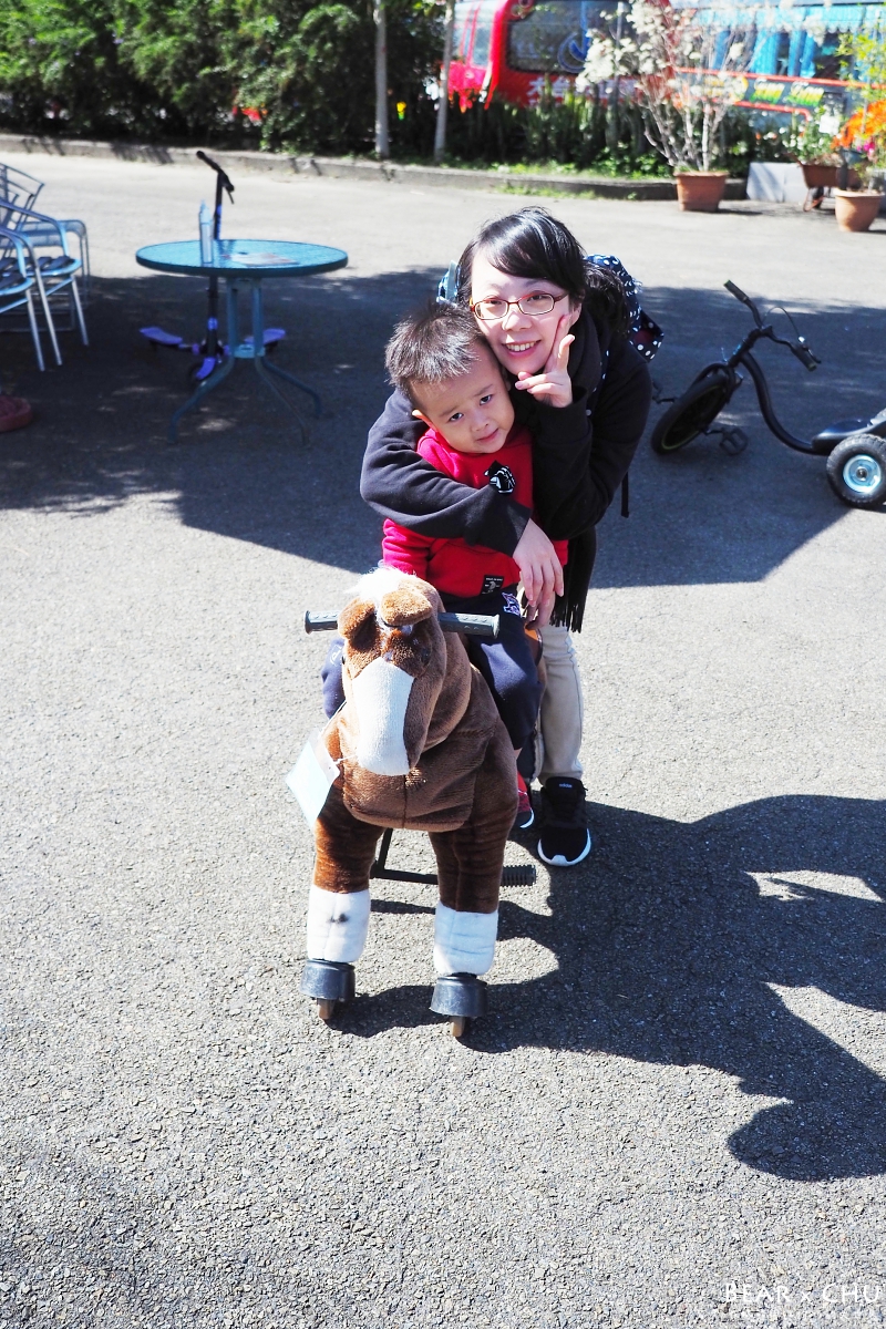 南投埔里木生昆蟲博物館_20180113-120112.JPG
