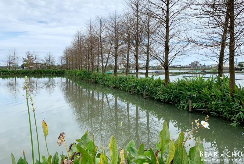 宜蘭古堡餐廳_20190226-0634592.jpg