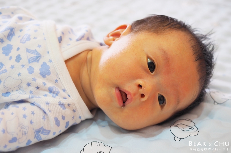 涼感蒟蒻床墊_20190519-115916-05.JPG